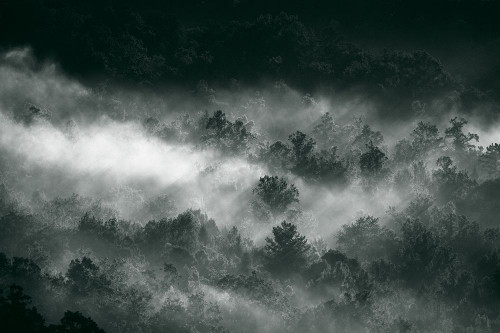 August Studios 7265 - Great Smoky Mountains, TN Poster Print - Studios August