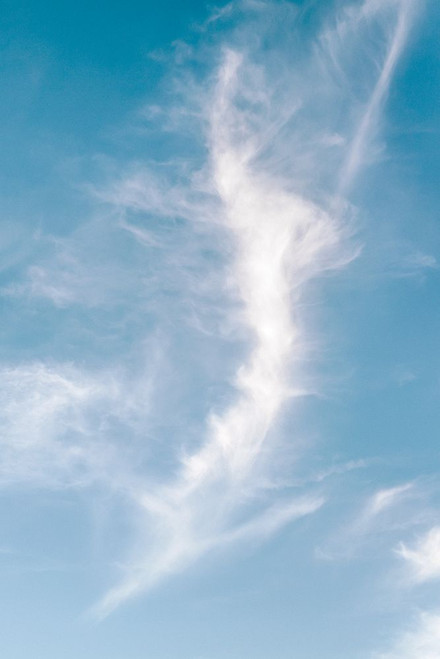 August Studios 4115 - South Mountain, AZ Poster Print - Studios August