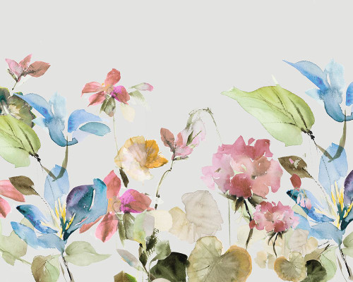 Geranium Garden II Poster Print - Lanie Loreth