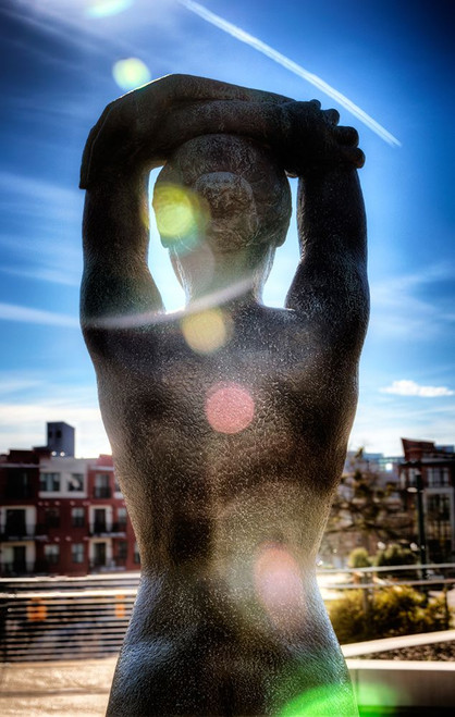 Reflecting Poster Print - Rachel Lee