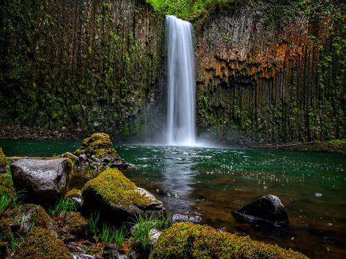 Waterfall 43 Poster Print - Rachel Lee