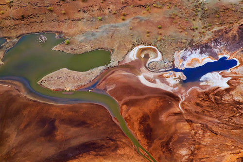 The Beautiful Colors Poster Print - Phillip Chang