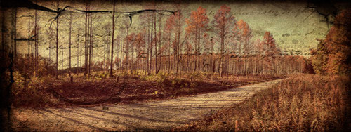 Prentice Road Pano Vintage Poster Print - Rachel Lee