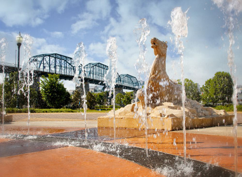 Water For Horses Poster Print - Rachel Lee