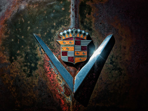 Caddy V Poster Print - Rachel Lee