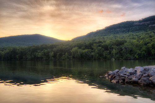 Raccoon Sunset Poster Print - Rachel Lee