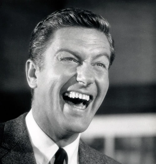 Divorce American Style, Dick Van Dyke, 1967. Columbia Pictures /Courtesy Everett Collection Poster Print