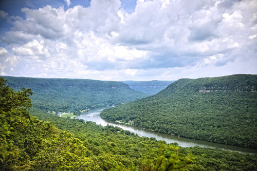 Canyon View Poster Print - Rachel Lee