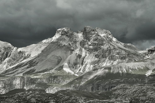 Europe Mountain 1 Poster Print - Pines Design Three