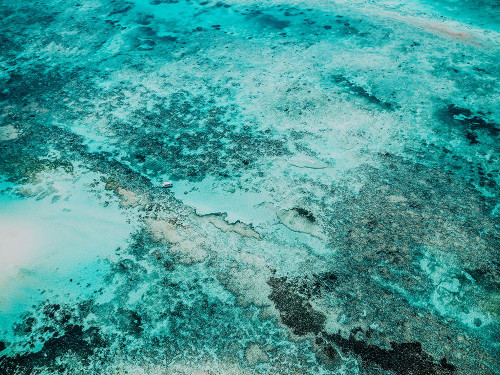 Ocean 58 Poster Print - Rachel Lee