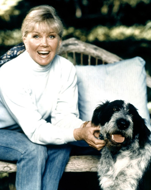 Doris Day, Ca. Early 1970S Poster Print