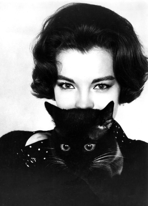 Romy Schneider, 1965 Poster Print