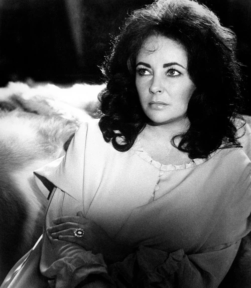 Night Watch, Elizabeth Taylor, 1973 Poster Print