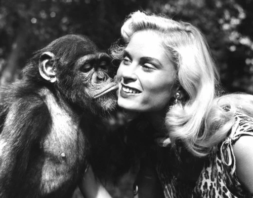 Sheena: Queen Of The Jungle, Irish Mccalla, 1955-1956 Poster Print