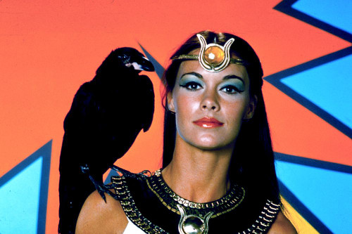 Isis, Joanna Cameron, 1975 Poster Print