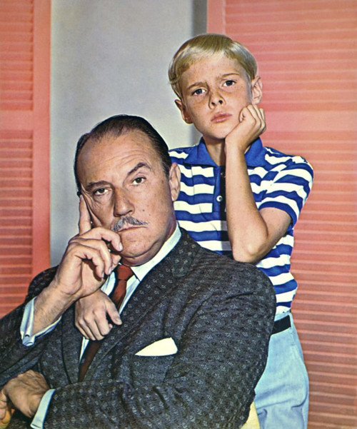 Dennis The Menace, Gale Gordon, Jay North,, 1959-63 Poster Print