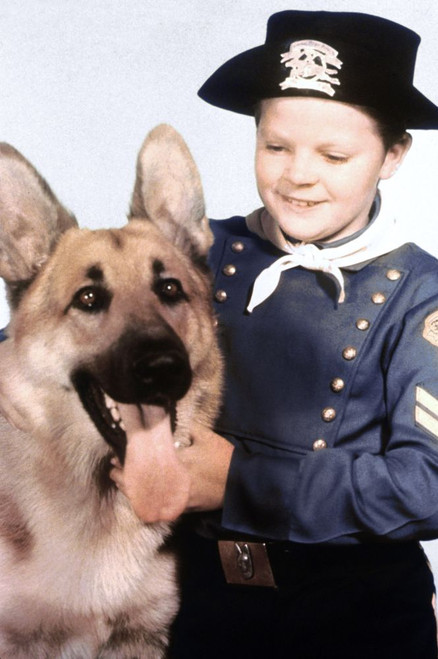 The Adventures Of Rin Tin Tin, Rin Tin Tin, Lee Aaker, 1954-59. Poster Print