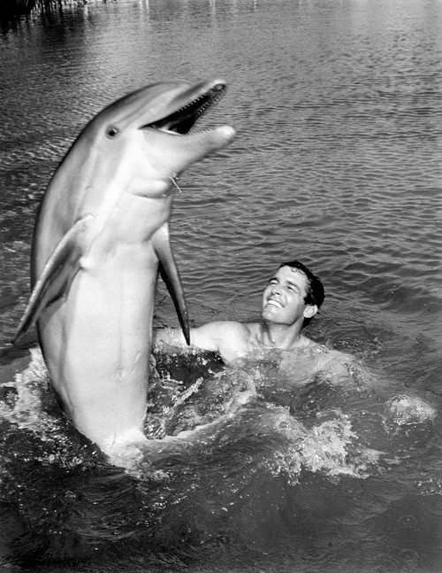 Flipper, Flipper, Brian Kelly, 1964-68 Poster Print