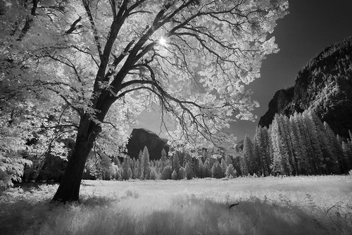 Yosemite Valley in infrared black and white-Yosemite National Park-California Poster Print - Adam Jones # VARPDXUS05AJE0767