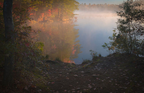 USA-New Jersey-Pine Barrens National Preserve Foggy forest and lake landscape Poster Print - Jaynes Gallery # VARPDXUS31BJY0406