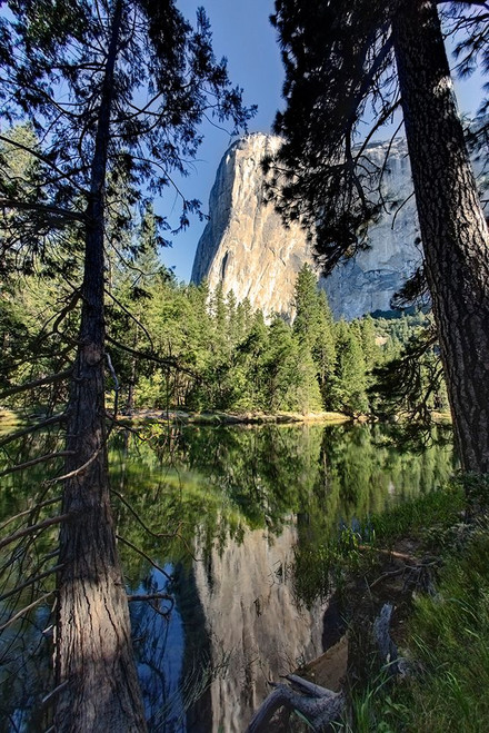 El Capitan reflected on Merced River-Yosemite National Park-California Poster Print - Adam Jones # VARPDXUS05AJE0664