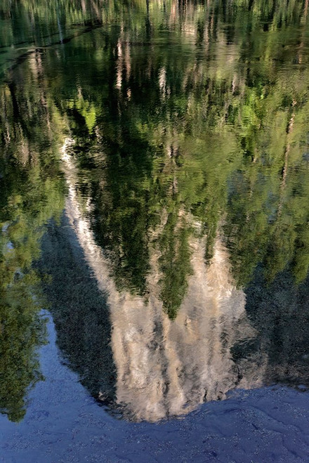 El Capitan reflected on Merced River-Yosemite National Park-California Poster Print - Adam Jones # VARPDXUS05AJE0662