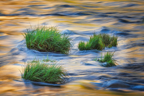 Sunset reflection on Merced River-Yosemite National Park-California Poster Print - Adam Jones # VARPDXUS05AJE0596