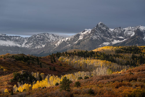 USA-Colorado-Uncompahgre National Forest Snowy Sneffels Range and autumn forest Poster Print - Jaynes Gallery # VARPDXUS06BJY2752