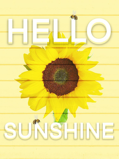 Hello Sunsine 2 Poster Print - Marcus Prime # VARPDXMPRC1336A2