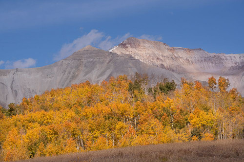 USA-Colorado-Uncompahgre National Forest Autumn forest and mountain Poster Print - Jaynes Gallery # VARPDXUS06BJY2746