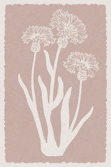 Pastel Florals 2 Poster Print - Marcus Prime # VARPDXMPRC1274B