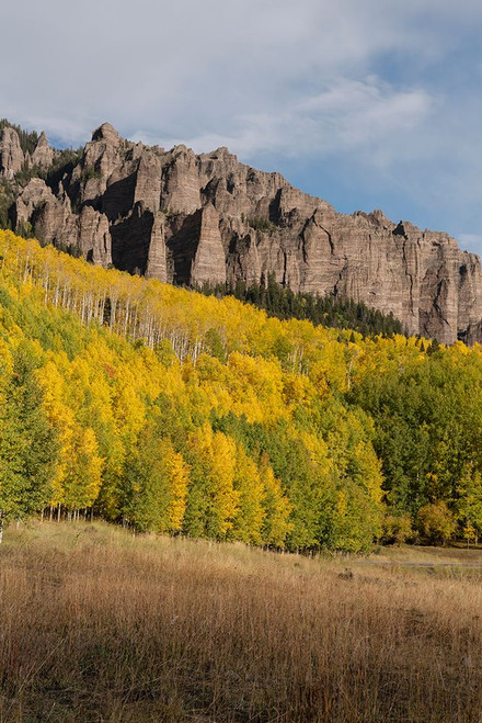 USA-Colorado-Uncompahgre National Forest Mountain and forest in autumn Poster Print - Jaynes Gallery # VARPDXUS06BJY2682