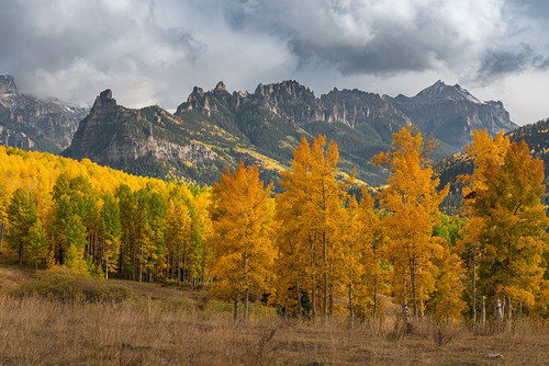 USA-Colorado-Uncompahgre National Forest Mountain and forest in autumn Poster Print - Jaynes Gallery # VARPDXUS06BJY2680