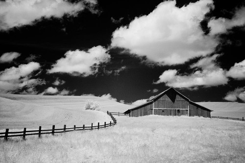 USA-Palouse Country-Washington State-Infrared Palouse fields and barn Poster Print - Terry Eggers # VARPDXUS48TEG1553