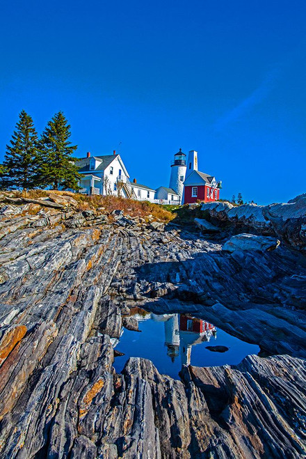 USA-New England-Maine-Pemaquid Point Lighthouse Poster Print - Sylvia Gulin # VARPDXUS20SGU0036