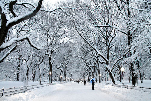 White Wonder Poster Print - Verne Varona # VARPDXV799D