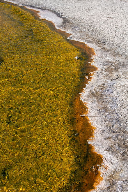 USA-Wyoming-Yellowstone National Park-Biscuit Basin-Sapphire Pool-colorful thermophile river and ba Poster Print - Cindy Miller Hopkins # VARPDXUS51CMI0141