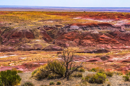 Tawa Point-Painted Desert-Petrified Forest National Park-Arizona Poster Print - William Perry # VARPDXUS03WPE0030 Tawa Point-Painted Desert-Petrified Forest National Park-Arizona Poster Print - William Perry # VARPDXUS03WPE0030