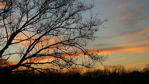 Dusk Silhouette I Poster Print - Tammy Putman # VARPDXPSPTM275