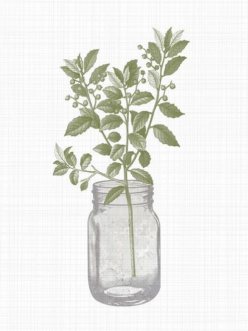 Jar Herbs 2 Poster Print - Kimberly Allen # VARPDXKARC2889B