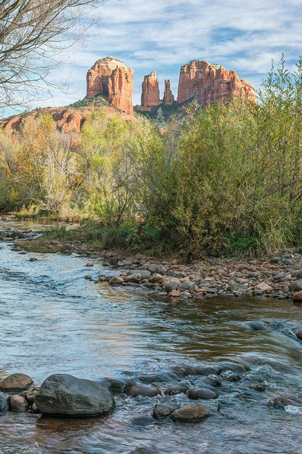 Arizona-Sedona Oak Creek and Cathedral Rock Poster Print - Rob Tilley # VARPDXUS03RTI0084