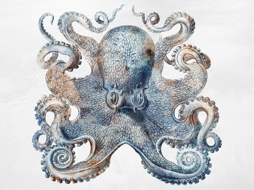 Swimming Ocean Friends 3 Poster Print - Marcus Prime # VARPDXMPRC1176C