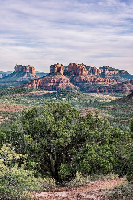 Arizona-Sedona Cathedral Rock Poster Print - Rob Tilley # VARPDXUS03RTI0077