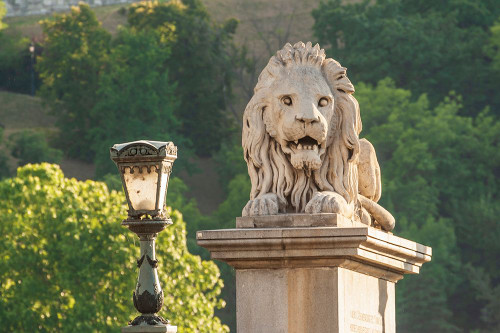 Hungary-Budapest-Lion sculpture on the Szechenyi Chain Bridge Poster Print - Tom Haseltine # VARPDXEU13THA0073