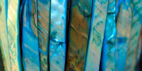 Shell Be Blue III Poster Print - Tammy Putman # VARPDXPSPTM252