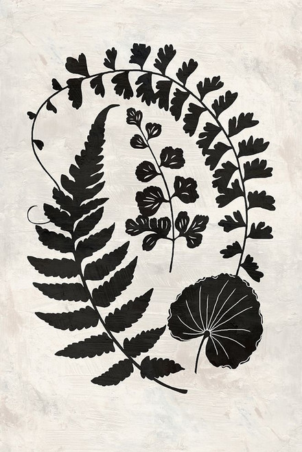 Botanica 2 Poster Print - Suzanne Nicoll # VARPDXN568D