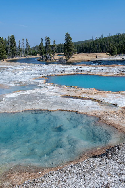 USA-Wyoming-Yellowstone National Park-Biscuit Basin-Black Diamond Pool Poster Print - Cindy Miller Hopkins # VARPDXUS51CMI0138