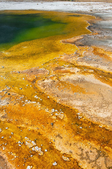 USA-Wyoming-Yellowstone National Park-Black Sand Basin-Emerald Pool-Green pool with yellow thermopi Poster Print - Cindy Miller Hopkins # VARPDXUS51CMI0133