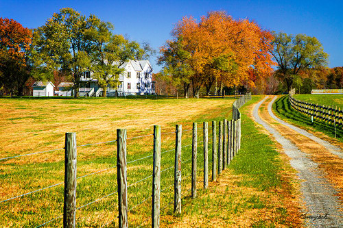 Homestead Poster Print - Alan Hausenflock # VARPDXPSHSF2484