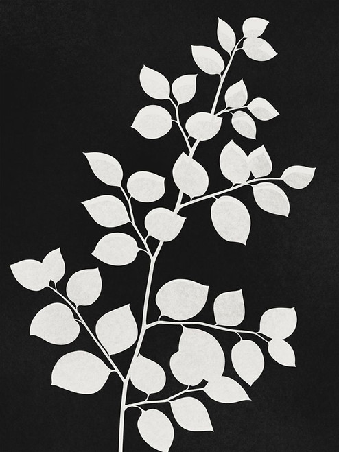 Silhouetted Growth 2 Poster Print - Marcus Prime # VARPDXMPRC1145A